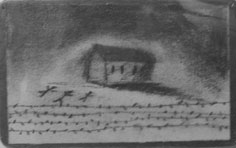 campo3.jpg