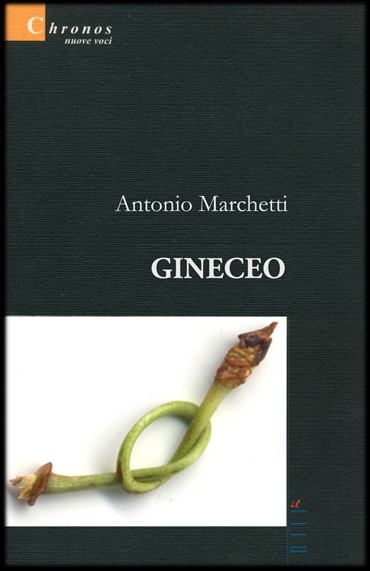 antonio-marchetti-gineceo.jpg